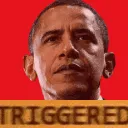 obamatriggered