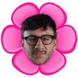 ponceFLEUR