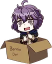 BernieBox