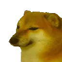 C1_cheemsBONK2