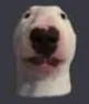 Walter