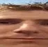 linus2