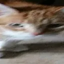emoji_3