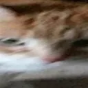 emoji_5