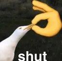 shut