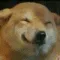 happyDoge