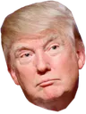 ThinkingTrump