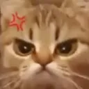 AngerCat