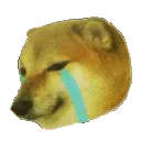 C1_cheemsCRYING