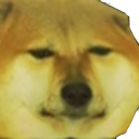 :cheemsweird: Discord Emote