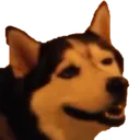 happydog