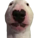 :walter: walter