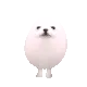 ED_eggdogwigg4K