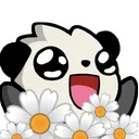 daisyw
