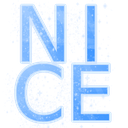 nice Discord emoji