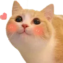 blushcat