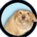 ohyoudog ohyoudog