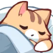 kittysleep