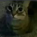 hey