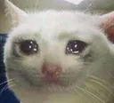 CatSad Discord Emoji