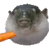 pufferfish
