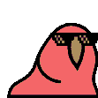 :CongaParrots: Discord Emote