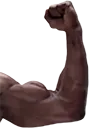 MuscleR