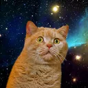 Spacecat Discord Emoji