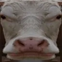 cringecow cringecow
