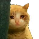 AK_Kucing_Menangis Discord emoji