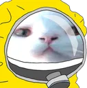 nymnV