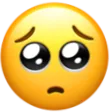 pleading