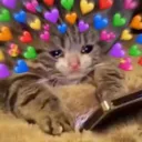 CatHearts