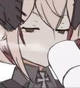 RoonSip