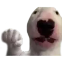 belson_punch