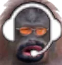 stinkycoachseagal