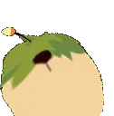 wobblecong