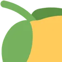 8363_Lemon_Big_1