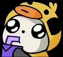 SIPP