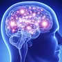 BigBrain