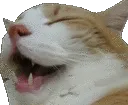 CatLul