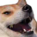 KekDog KekDog
