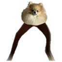 persik_legs