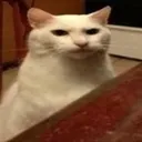 browtf