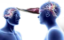 connection