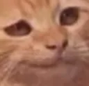 smork