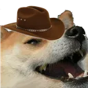 yeehawhaw