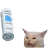 Tavybonk
