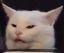 cat8 cat8