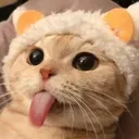 codm_catmlem